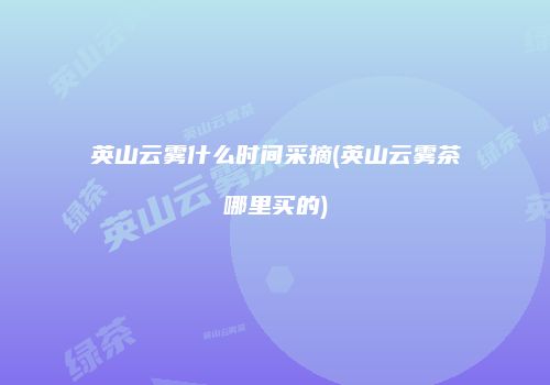 英山云雾什么时间采摘(英山云雾茶哪里买的)