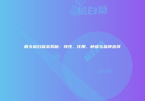 桐乡杭白菊茶揭秘：特性、饮用、种植与品牌选择
