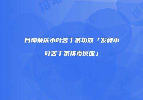 月坤余庆小叶苦丁茶功效「发酵小叶苦丁茶排毒反应」