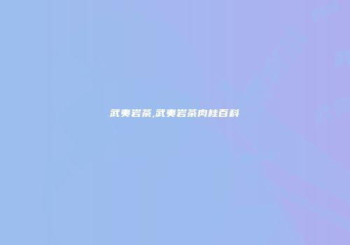 武夷岩茶,武夷岩茶肉桂百科