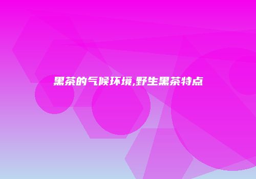 黑茶的气候环境,野生黑茶特点
