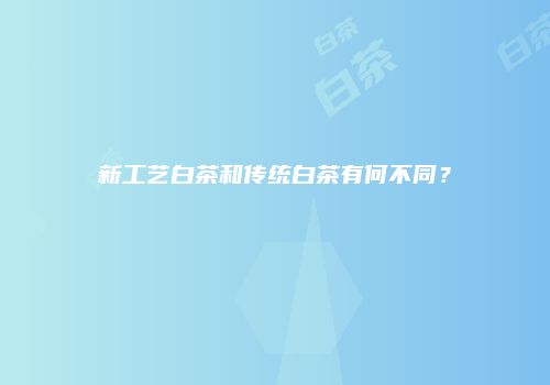新工艺白茶和传统白茶有何不同？