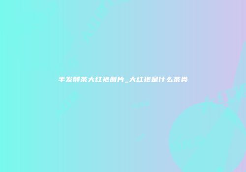 半发酵茶大红袍图片_大红袍是什么茶类