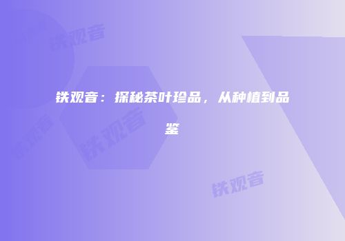 铁观音：探秘茶叶珍品，从种植到品鉴