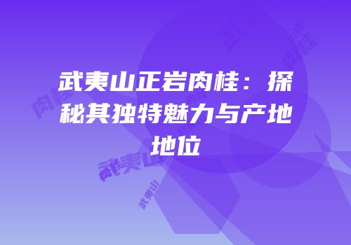 武夷山正岩肉桂：探秘其独特魅力与产地地位