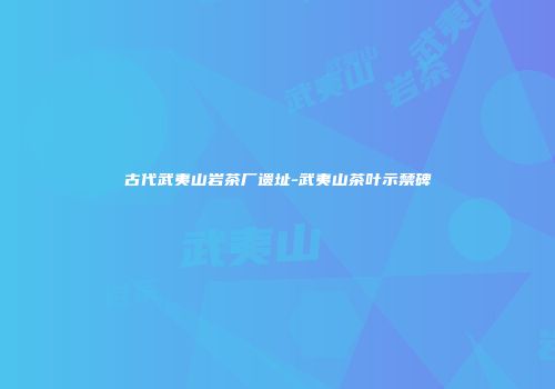 古代武夷山岩茶厂遗址-武夷山茶叶示禁碑