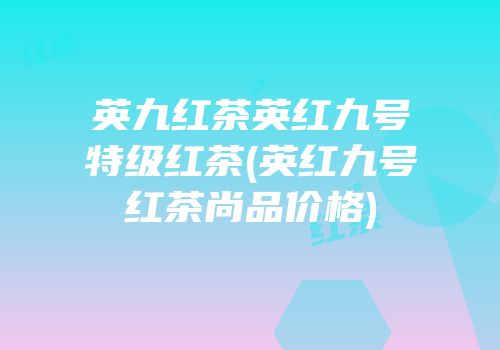 英九红茶英红九号特级红茶(英红九号红茶尚品价格)