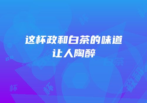 这杯政和白茶的味道让人陶醉