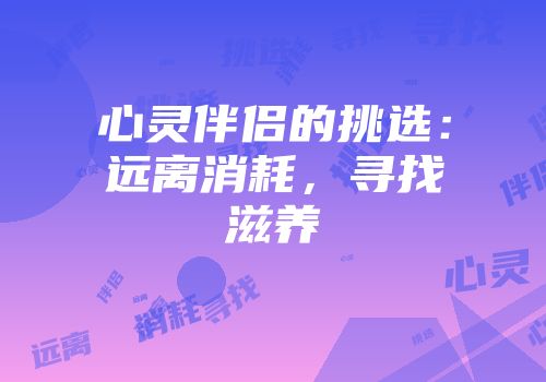 心灵伴侣的挑选：远离消耗，寻找滋养