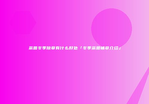 茶园冬季除草有什么好处「冬季茶园铺草介绍」