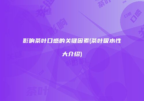 影响茶叶口感的关键因素(茶叶吸水性大介绍)