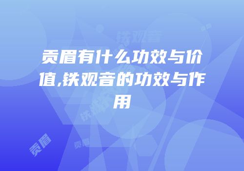 贡眉有什么功效与价值,铁观音的功效与作用