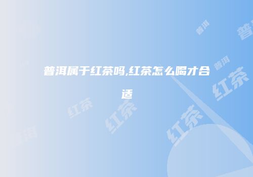 普洱属于红茶吗,红茶怎么喝才合适