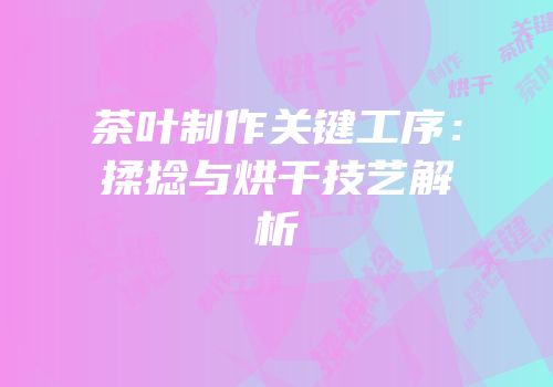 茶叶制作关键工序：揉捻与烘干技艺解析