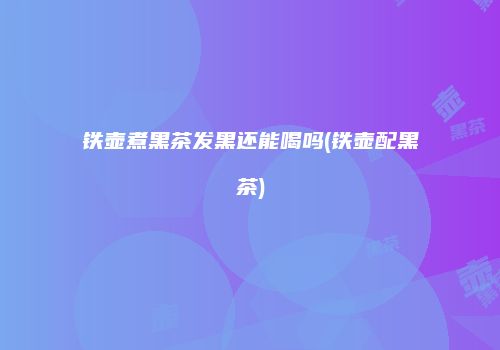 铁壶煮黑茶发黑还能喝吗(铁壶配黑茶)