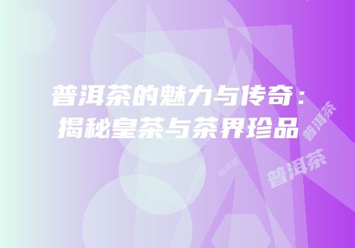普洱茶的魅力与传奇：揭秘皇茶与茶界珍品
