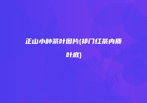 正山小种茶叶图片(祁门红茶内质叶底)