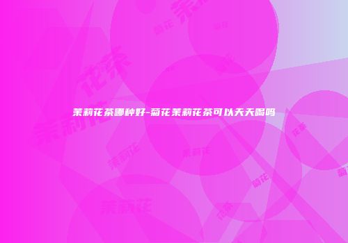 茉莉花茶哪种好-菊花茉莉花茶可以天天喝吗