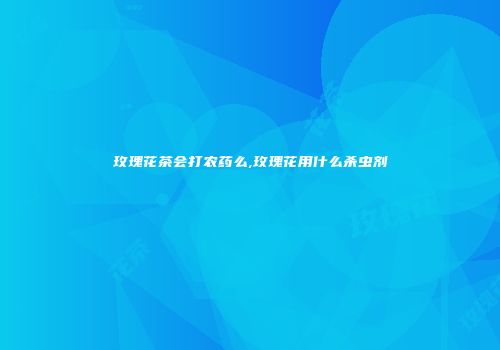 玫瑰花茶会打农药么,玫瑰花用什么杀虫剂