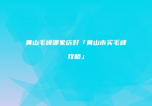 黄山毛峰哪家店好「黄山市买毛峰攻略」