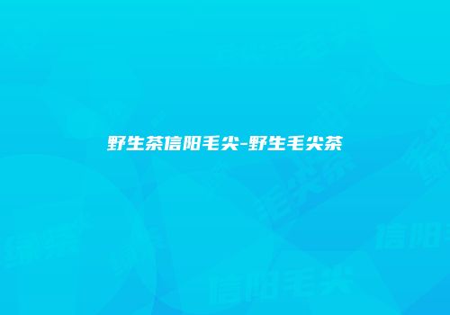 野生茶信阳毛尖-野生毛尖茶