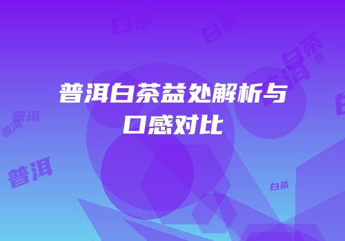 普洱白茶益处解析与口感对比