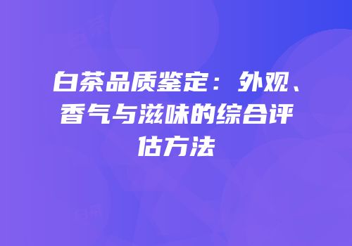 白茶品质鉴定：外观、香气与滋味的综合评估方法