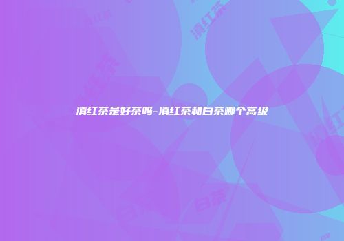 滇红茶是好茶吗-滇红茶和白茶哪个高级