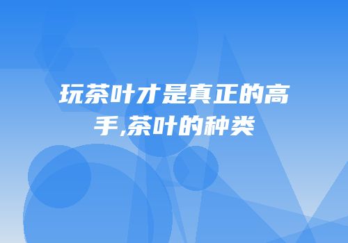 玩茶叶才是真正的高手,茶叶的种类
