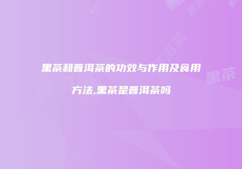 黑茶和普洱茶的功效与作用及食用方法,黑茶是普洱茶吗