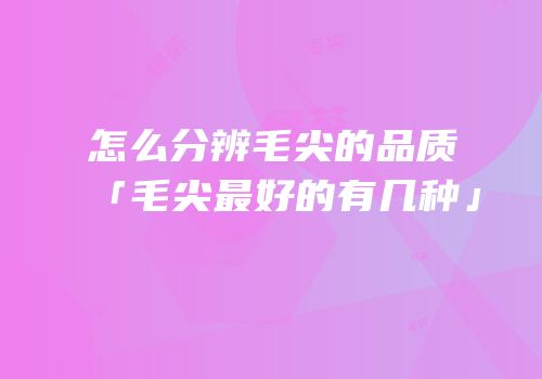 怎么分辨毛尖的品质「毛尖最好的有几种」