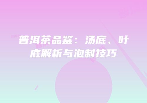 普洱茶品鉴：汤底、叶底解析与泡制技巧