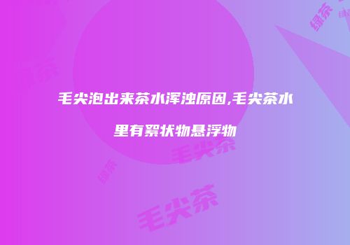 毛尖泡出来茶水浑浊原因,毛尖茶水里有絮状物悬浮物