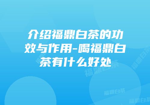 介绍福鼎白茶的功效与作用-喝福鼎白茶有什么好处