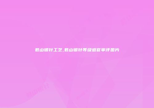 君山银针工艺,君山银针等级感官审评图片