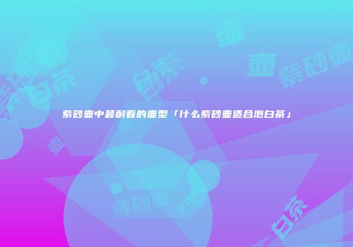 紫砂壶中最耐看的壶型「什么紫砂壶适合泡白茶」