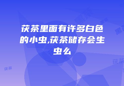 茯茶里面有许多白色的小虫,茯茶储存会生虫么