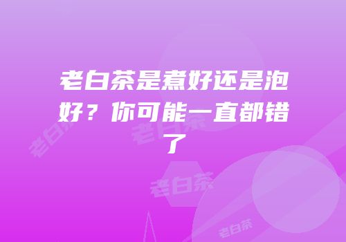 老白茶是煮好还是泡好？你可能一直都错了