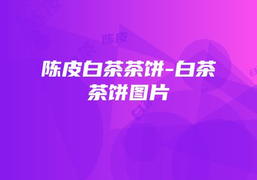 陈皮白茶茶饼-白茶茶饼图片