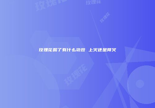 玫瑰花喝了有什么功效 上火还是降火