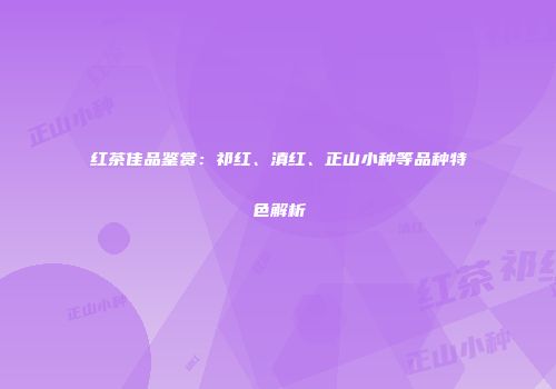 红茶佳品鉴赏：祁红、滇红、正山小种等品种特色解析