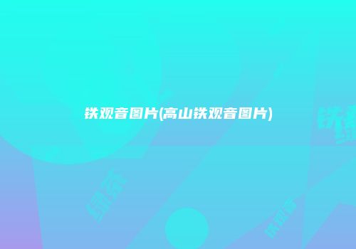 铁观音图片(高山铁观音图片)