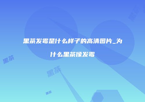 黑茶发霉是什么样子的高清图片_为什么黑茶像发霉