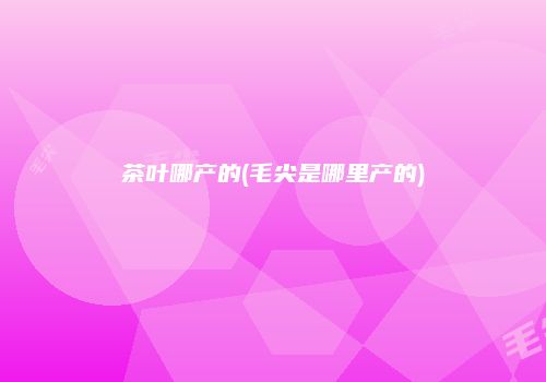 茶叶哪产的(毛尖是哪里产的)