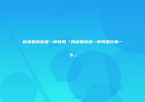 桂皮和肉桂是一样的吗「肉桂和桂皮一样吗图片看一下」