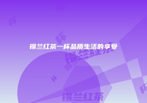 锡兰红茶一杯品质生活的享受