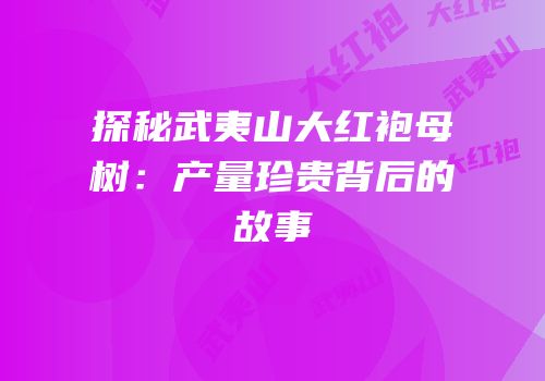 探秘武夷山大红袍母树：产量珍贵背后的故事