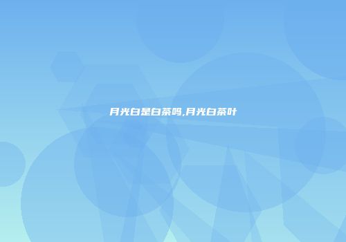 月光白是白茶吗,月光白茶叶
