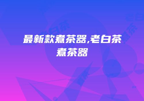 最新款煮茶器,老白茶煮茶器