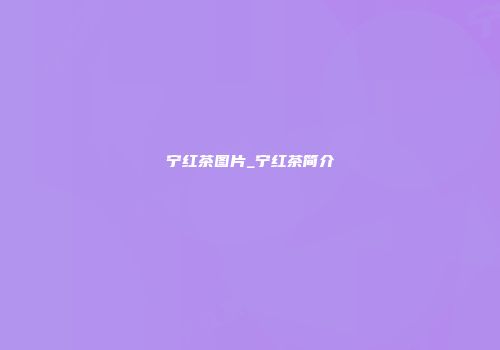 宁红茶图片_宁红茶简介